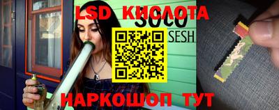 стафф Донской
