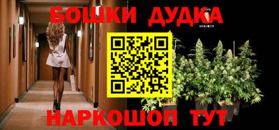 мдпв Дубна